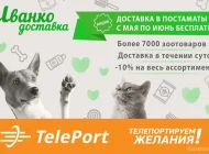 Автоматизированный пункт выдачи TelePort Фото 8 на сайте Kuzminki.su